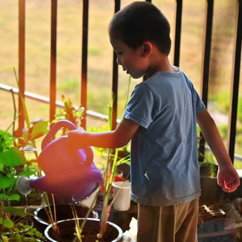 Nos idées d’activités dans votre jardin